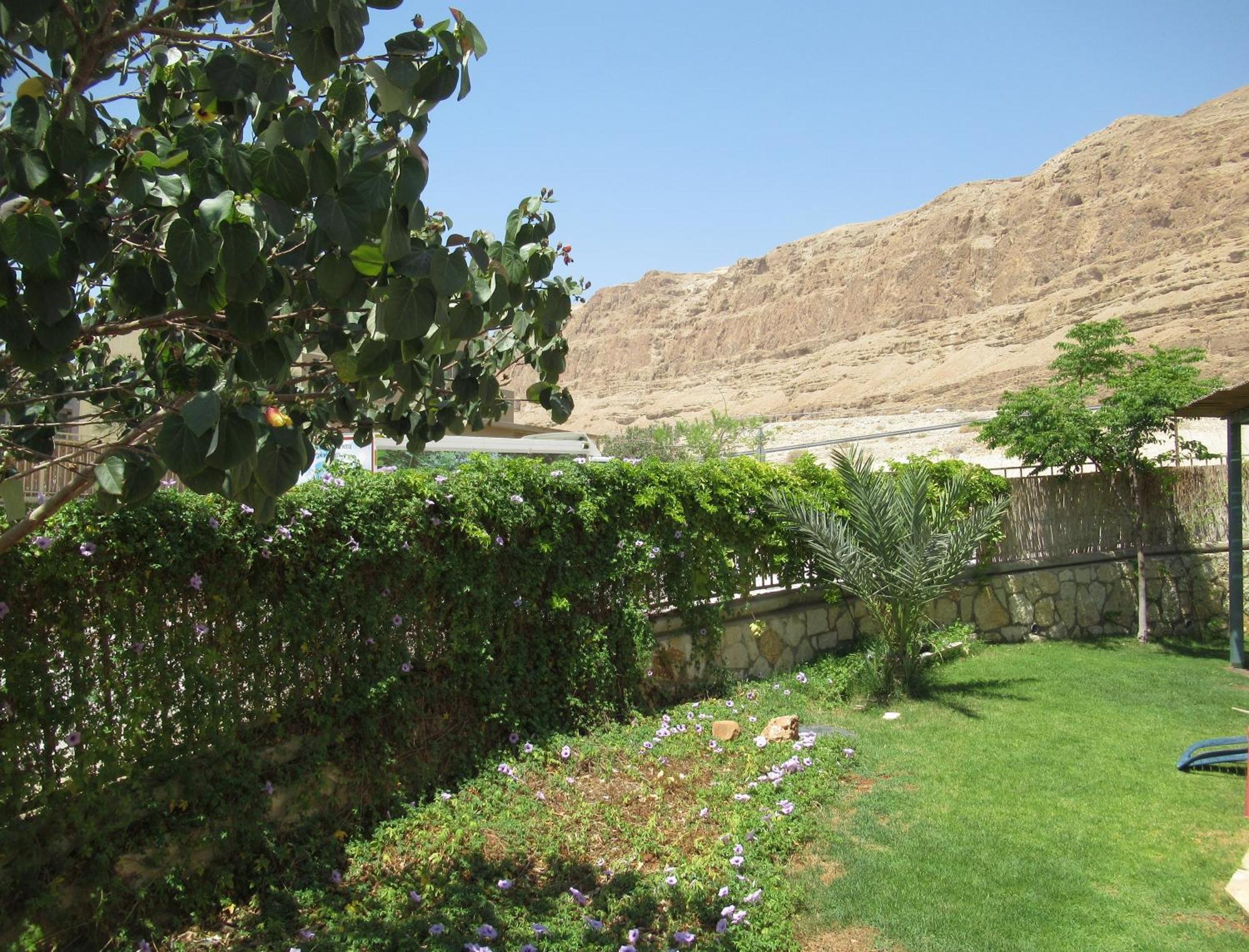Unique&Warmy Place In The Dead Sea Avnat Екстер'єр фото